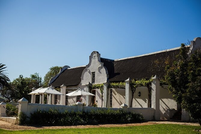 Full Day Small Group Wine Tour Cape Town and Stellenbosch - Simonsig: Method Cap Classique, Cellar Time, and Sabrage