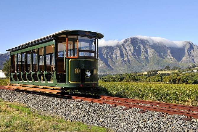 Full-Day Stellenbosch, Franschhoek and Paarl Wine Tasting Tour from Cape Town - Pickup, group size, and the pace reality check