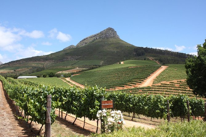 Full-Day Stellenbosch, Franschhoek and Paarl Wine Tasting Tour from Cape Town - The Franschhoek wine tram: short ride, fun vibe, mixed expectations