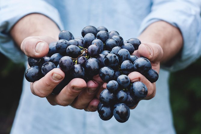 Full-Day Stellenbosch, Franschhoek and Paarl Wine Tasting Tour from Cape Town - First stop: Stellenbosch’s Dorp Street walk and a cellar tasting in town