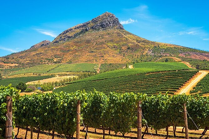 Full Day Stellenbosch Paarl and Franschhoek Private Wine Tour - Franschhoek: Up to Four Wineries Plus Pairing-Friendly Time