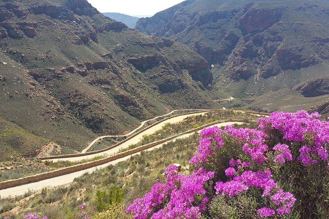 Full-Day Swartberg Mountain PRIVATE Tour (including lunch and transfers) - Should you book this Swartberg Mountains private tour?