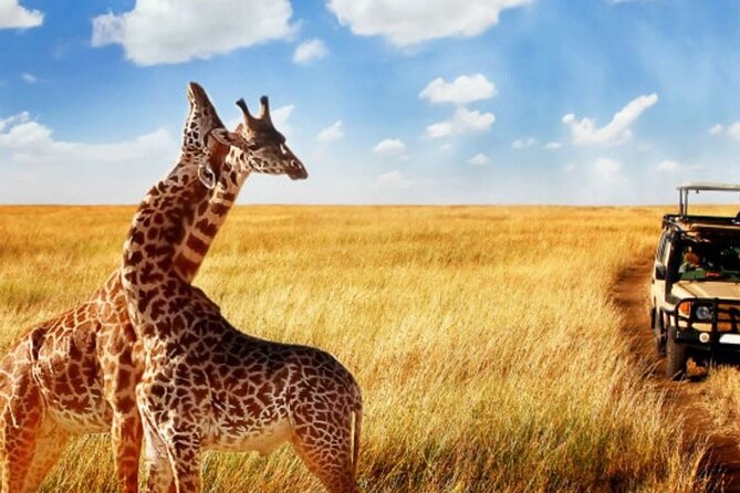 Full Day -Tala Game Reserve, Natal Lion Park, Phezulu From Durban - Phezulu Safari Park: fun add-ons, but budget for the extras