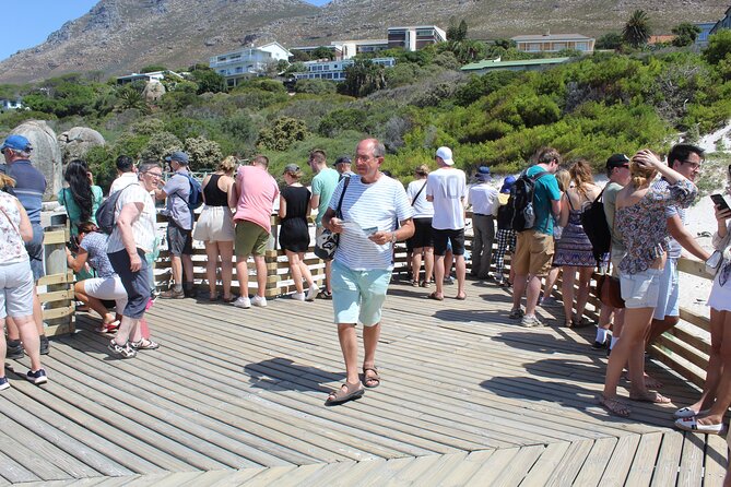 Full-Day Tour to Cape Point and Cape of Good Hope - Hout Bay Harbor and the option to meet thousands of seals