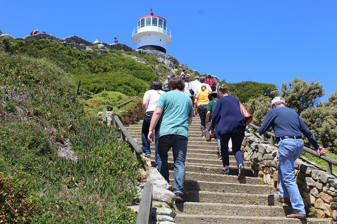 Full-Day Tour to Cape Point and Cape of Good Hope - Cape of Good Hope: wildlife spotting and fynbos-bird watching time