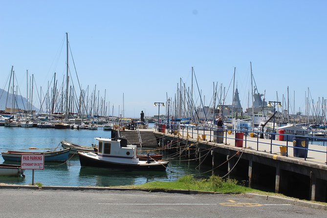 Full Day visit to Cape Point Cape of Good Hope for Special needs from Cape Town - A mobility-focused Cape Town day, without the hassle