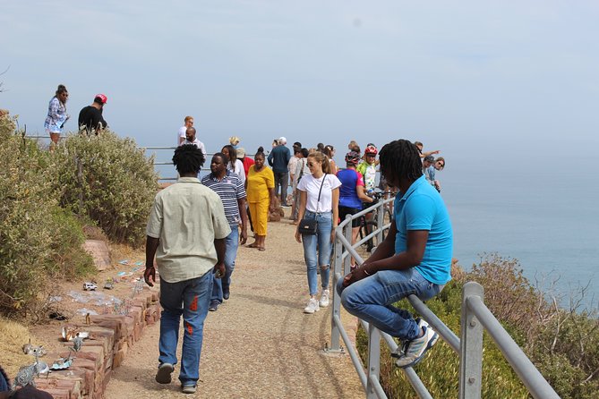Full Day visit to Cape Point Cape of Good Hope for Special needs from Cape Town - Cape of Good Hope: fynbos beauty, proteas, and animals that steal the show