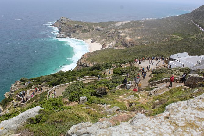 Full Day visit to Cape Point Cape of Good Hope for Special needs from Cape Town - Boulders Beach Penguin Colony: boardwalk access and that unforgettable close-up