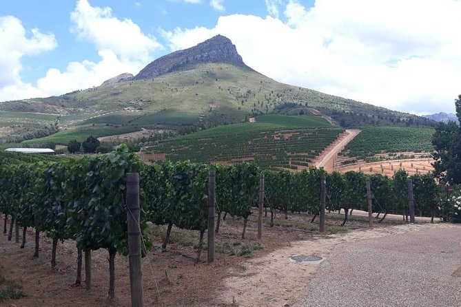 Full Day Wine Tasting in Stellenbosch, Franschoek & Paarl fees included - Franschhoek Stop: Mont Rochelle With a 150-Year Cellar and Branson Pride