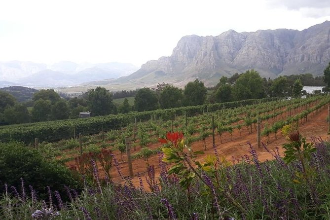 Full Day Wine Tasting in Stellenbosch, Franschoek & Paarl fees included - Paarl Finish: Spice Route for Draft Beer, Dark Chocolate, and Trading-Era Stories