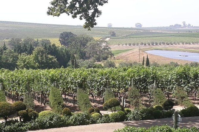 Full Day Wine Tasting in Stellenbosch, Franschoek & Paarl fees included - Your Day Plan: Timing, Comfort, and How to Avoid a “Wine Hangover”