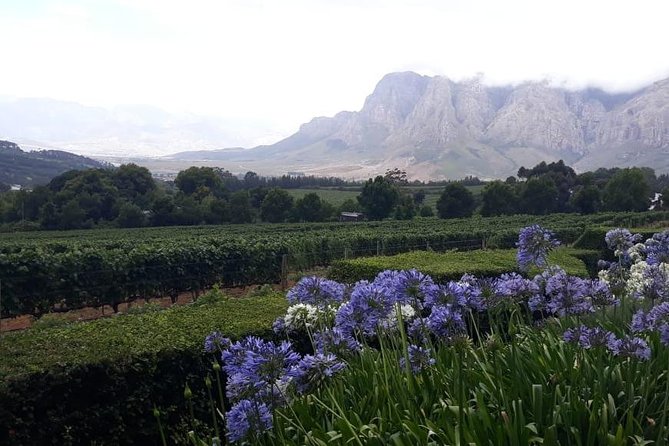 Full Day Wine Tasting in Stellenbosch, Franschoek & Paarl fees included - Who This Tour Fits Best (and Who Might Want a Different Plan)