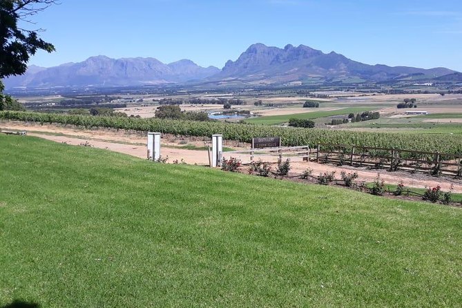 Full Day Wine Tasting in Stellenbosch, Franschoek & Paarl fees included - Stop 1 in Stellenbosch: DeMorgenzon and the “Music Frequency” Idea