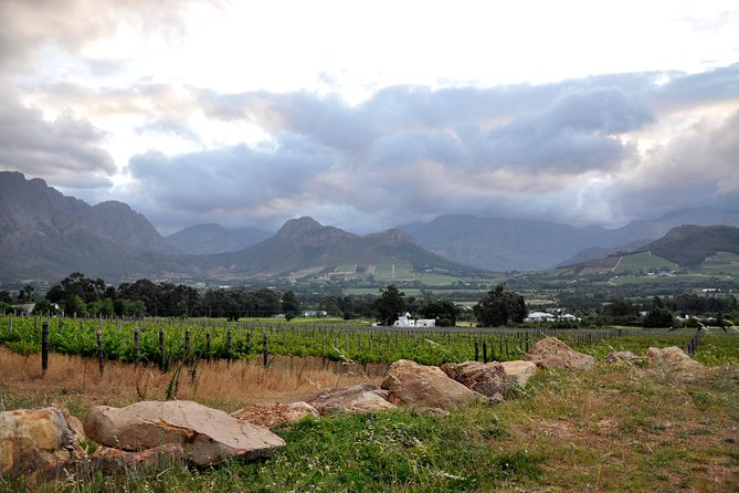 Full-Day Wine Tour from Stellenbosch - Hotel Pickup in Stellenbosch, Then a Comfortable Ride That Stays Focused