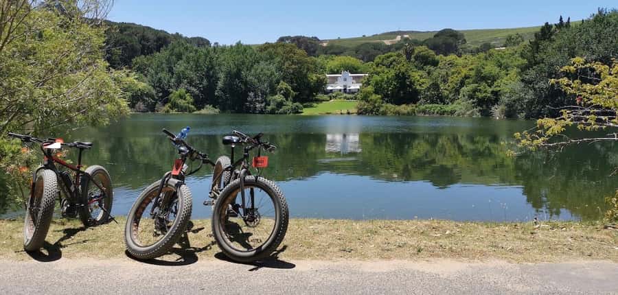 Full-Day Winelands E-Bike Tour with Wine Tasting & Lunch - What to Bring and How to Make the Ride Feel Good