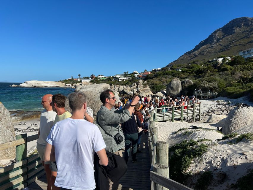 Fully Day Cape Of Good Hope, Penguins, Bo Kaap , Seals Tour - Lunch in Simon’s Town and the last scenic detour toward Muizenberg