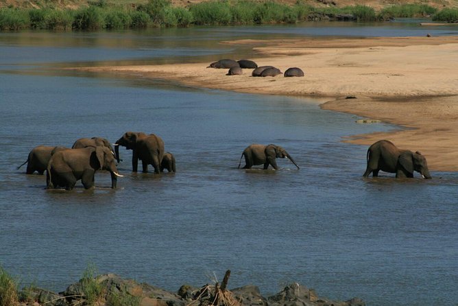 Fully inclusive Pilanesberg safari from Johannesburg - The Real Deal: A Full Day Safari From Johannesburg