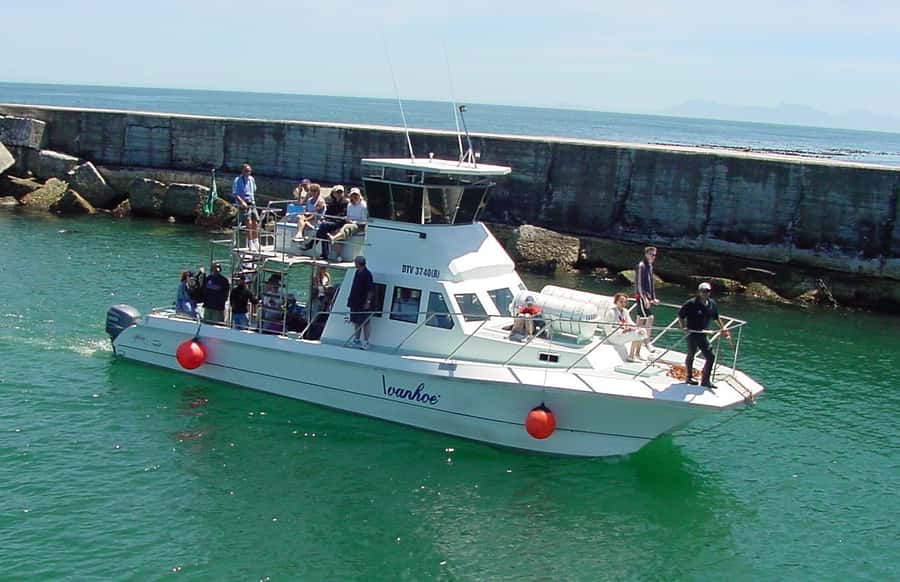 Gansbaai: Whale Watching Trip by Boat - The 2-Hour Cruise Flow: From Gansbaai Harbour to the Cliffs
