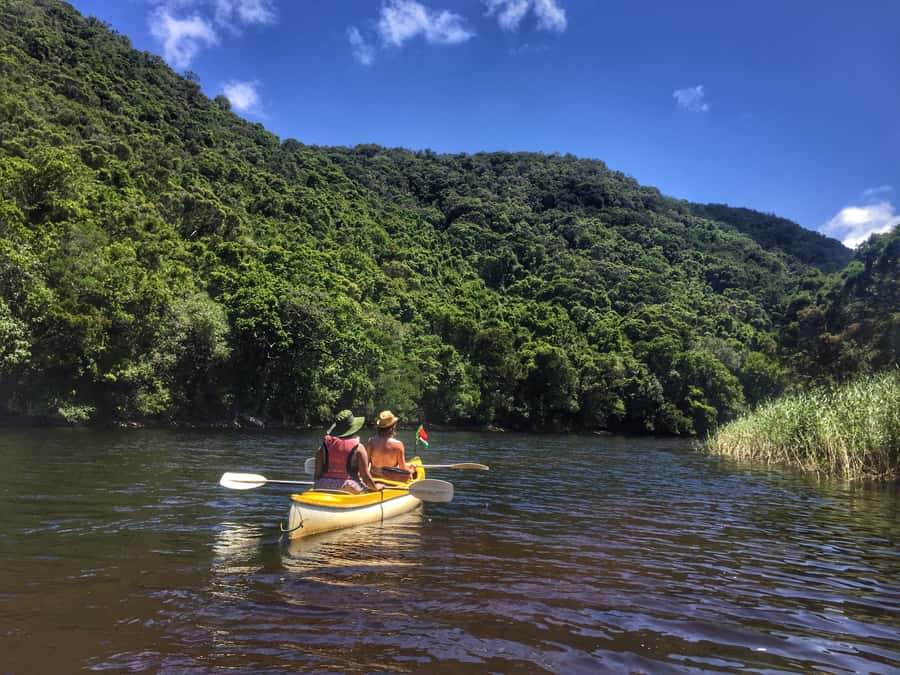 Garden Route and Addo Elephant National Park: 5-Day Safari - Route 62 to Oudtshoorn: Wine Tasting and a Working Ostrich Farm