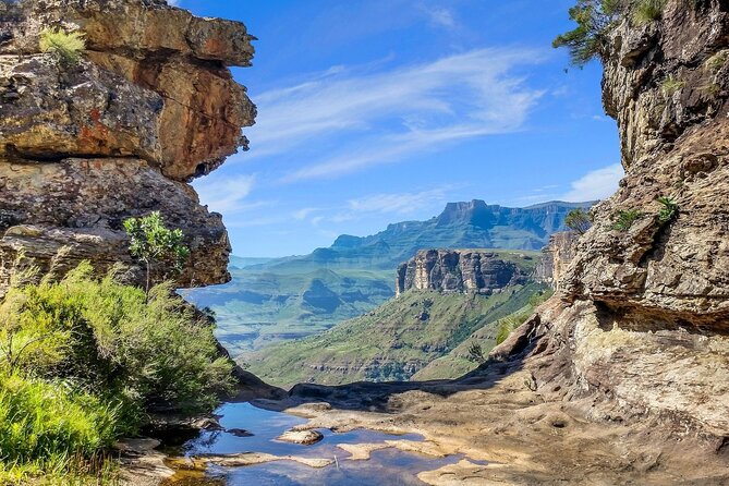 Garden Route and Addo National Park 4 Day Safari - Quick hits to know before you go