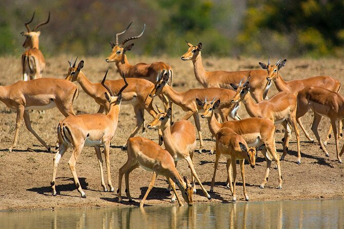 Garden Route and Addo National Park 4 Day Safari - Packing and mindset tips that make the route easier