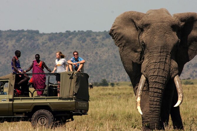 Garden Route & Botlierskop G Reserve 5 Day Safari from Cape Town - Botlierskop Private Game Reserve, 4x4 safari time with serious animal odds