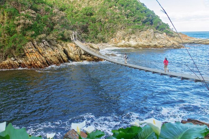Garden Route Durban to Cape Town via Addo National Park - 7 Days - Key things that make this road trip work
