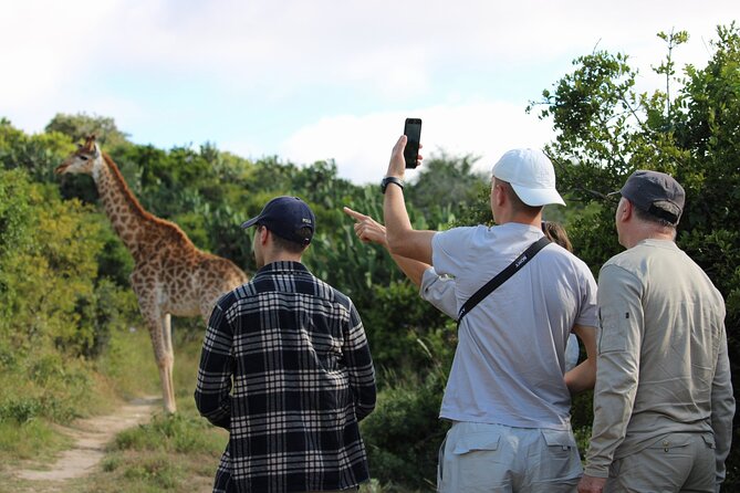 Giraffe Tracking 4x4 Safaris - Key things to know before you go