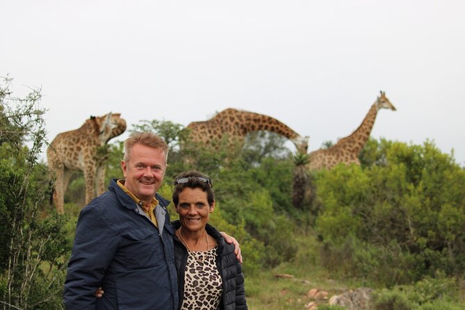 Giraffe Tracking 4x4 Safaris - The guide, the group size, and the vibe you’re really buying