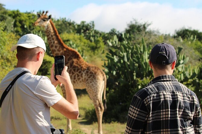 Giraffe Tracking 4x4 Safaris - Final call: should you book Giraffe Tracking 4x4 Safaris at Bellevue?