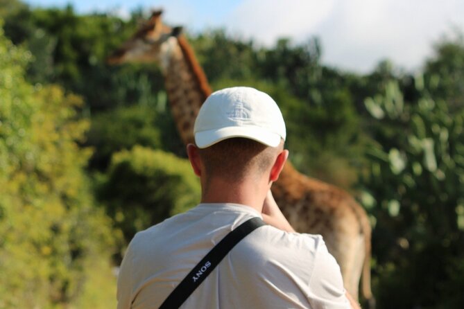 Giraffe Tracking 4x4 Safaris - Wildlife sightings beyond giraffes, plus why the drive matters