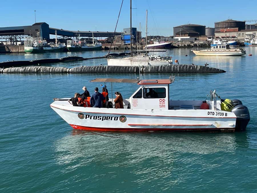 Gqeberha: 30 MINUTE HARBOUR CRUISE - Key Highlights You’ll Feel Immediately