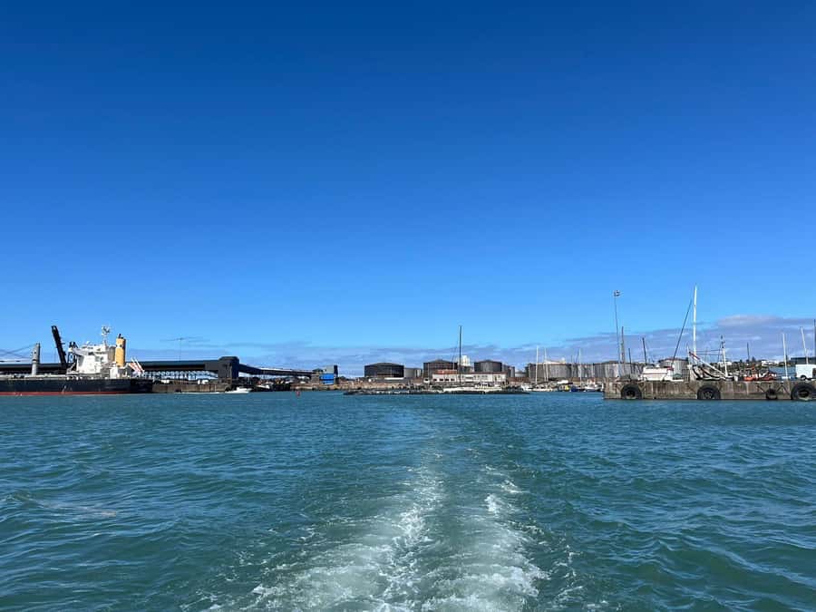 Gqeberha: 30 MINUTE HARBOUR CRUISE - Safety, Rules, and Comfort: Practical Prep for a Short Cruise