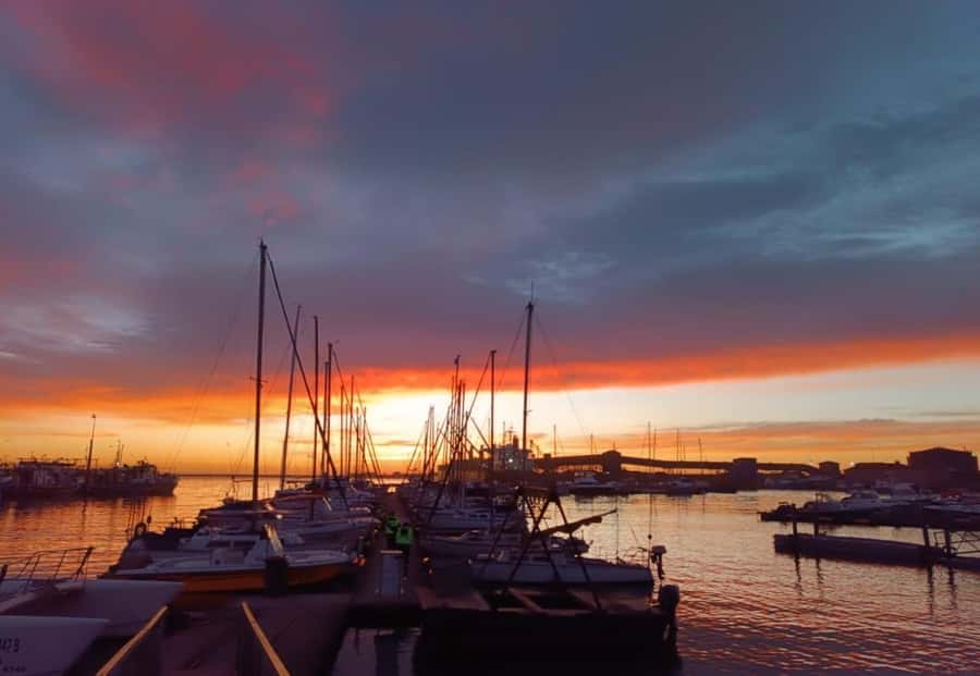 Gqeberha: 30 MINUTE HARBOUR CRUISE - Price and Value: Is $18 Worth 30 Minutes on the Water?