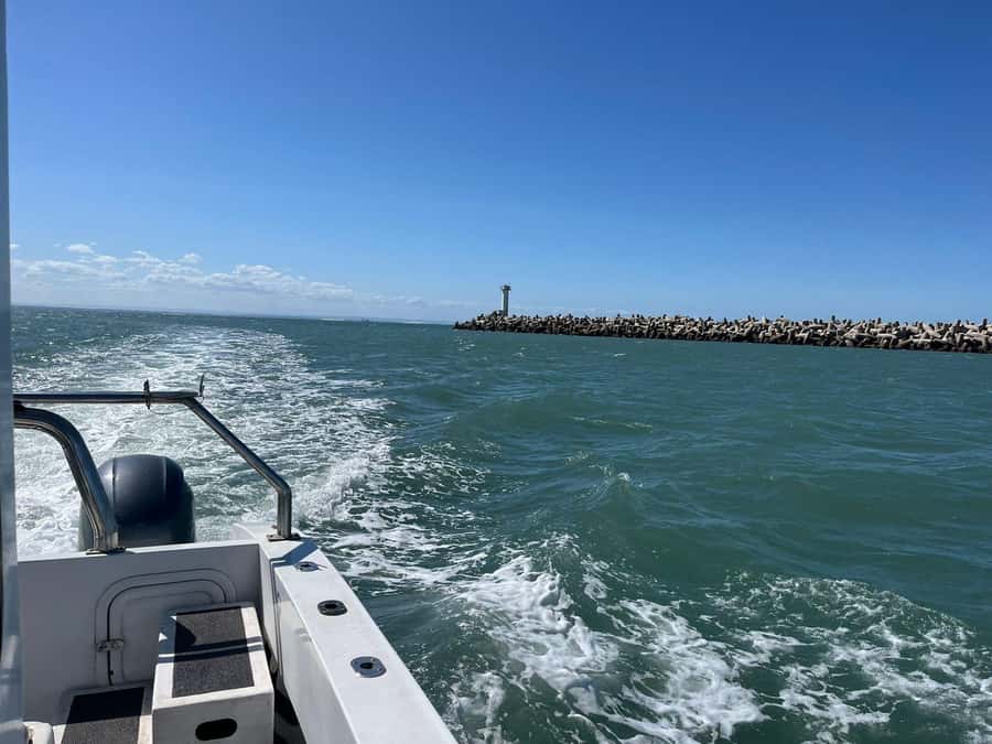 Gqeberha: 30 MINUTE HARBOUR CRUISE - Who Should Book This Harbour Cruise?