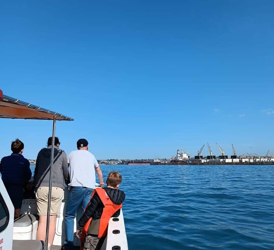 Gqeberha: 30 MINUTE HARBOUR CRUISE - The 30-Minute Harbour Cruise Around Port Elizabeth: What You Actually See