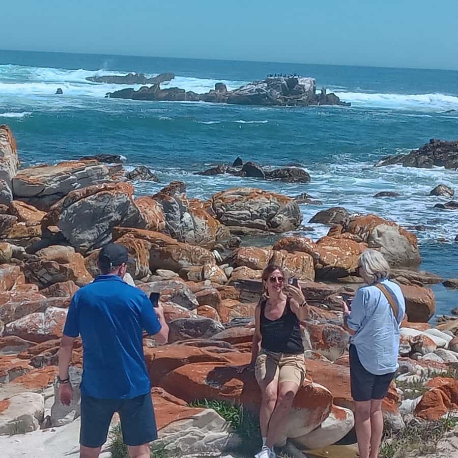 Gqeberha: City Highlights Car and Walking Tour - What to Bring, and How to Stay Comfortable