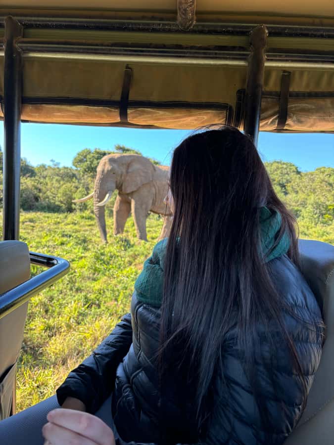 Gqeberha: Park View Game Drive at Schotia Safaris with Lunch - Getting picked up and riding into the reserve zone