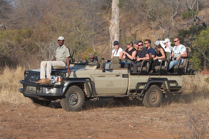 Greater Kruger National Park 4 day safari at a private game lodge - Key things that make this safari work well