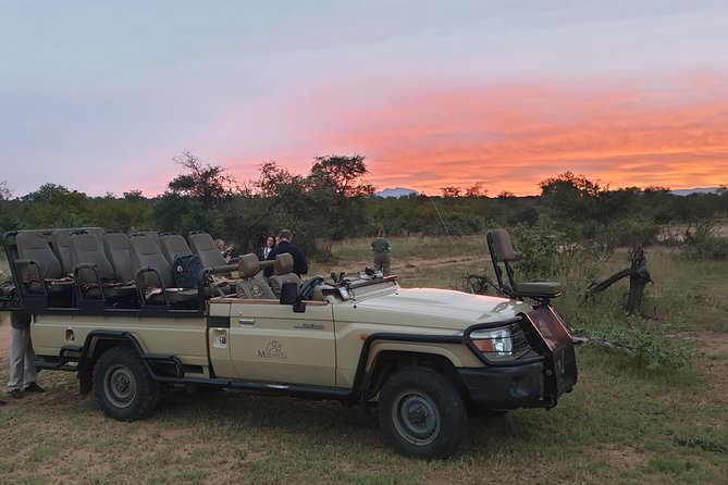 Greater Kruger National Park 4 day safari at a private game lodge - Mohlabetsi Safari Lodge: your private-lodge base with meals included