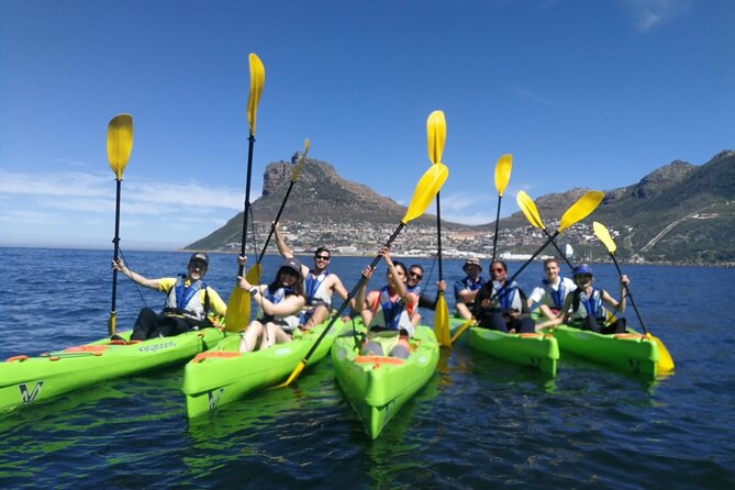 Guided Kayaking in Hout Bay - Getting to Kayak Adventures in Hout Bay Harbour