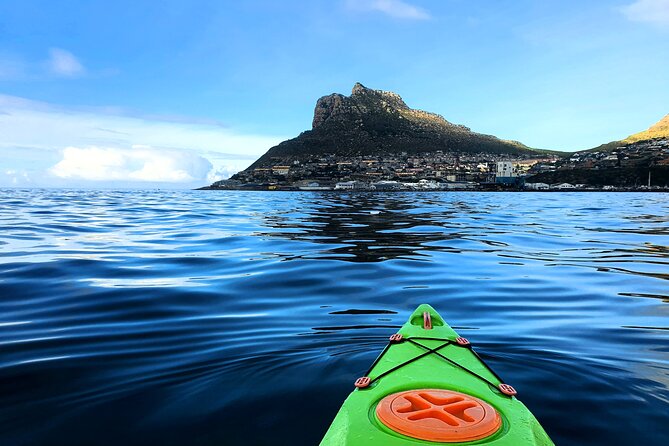 Guided Kayaking in Hout Bay - Who should book this Hout Bay guided kayaking trip