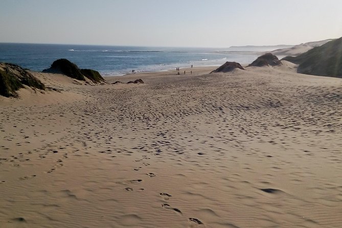 Guided Marine Walk: - Sardinia Bay (Marine Protected Area) - 3 hours - Why Sardinia Bay’s Marine Protected Area matters for your day