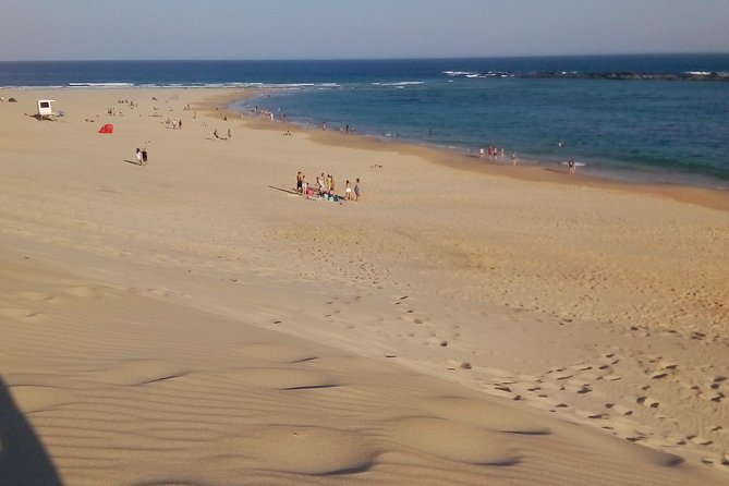 Guided Marine Walk: - Sardinia Bay (Marine Protected Area) - 3 hours - What you can realistically see: whales, birds, seals, and more