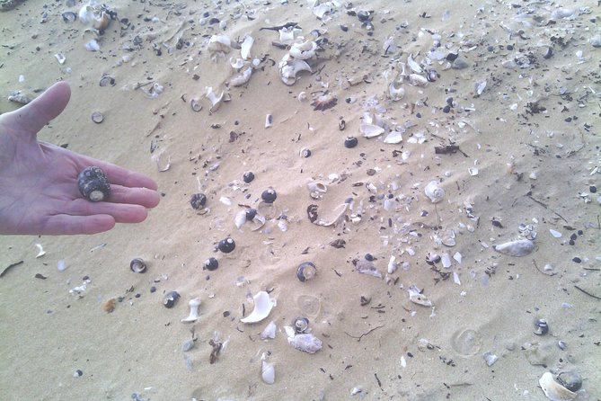 Guided Marine Walk: - Sardinia Bay (Marine Protected Area) - 3 hours - Price and value for a private guide in Port Elizabeth