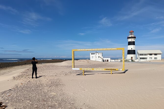 Guided Port Elizabeth Coastal Tour - Key highlights worth planning around