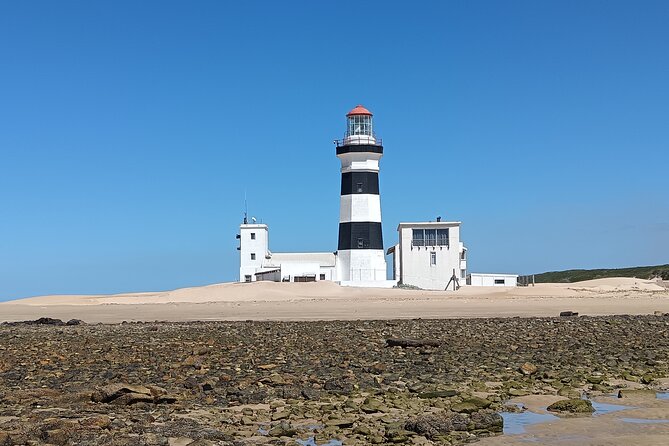 Guided Port Elizabeth Coastal Tour - Port Elizabeths Coast in One Efficient Loop