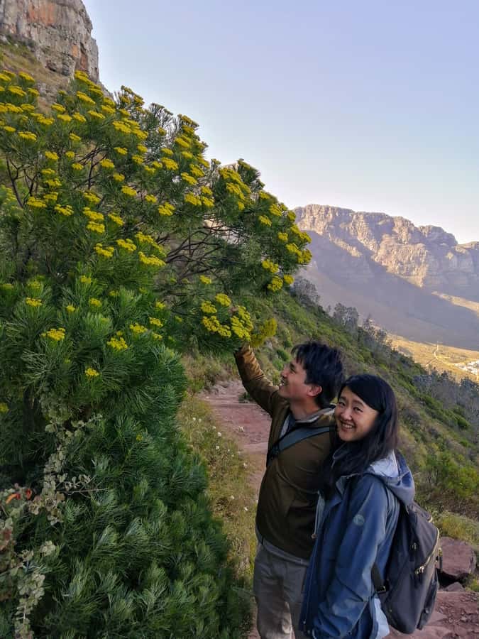 Guided Table Mountain Hike – Kasteelspoort Scenic Route - Silent Walking Meditation: Why It Changes the Whole Day