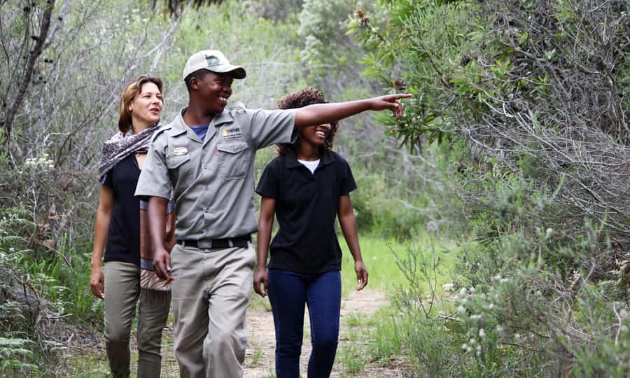 Guided Wildlife Tour and Forest Walk with Lunch Platter - Tenikwa Wildlife Center: why this combo feels worth your time