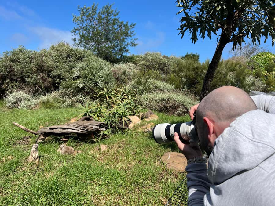 Guided Wildlife Tour and Forest Walk with Lunch Platter - Price and value: is $63 per person a fair deal?